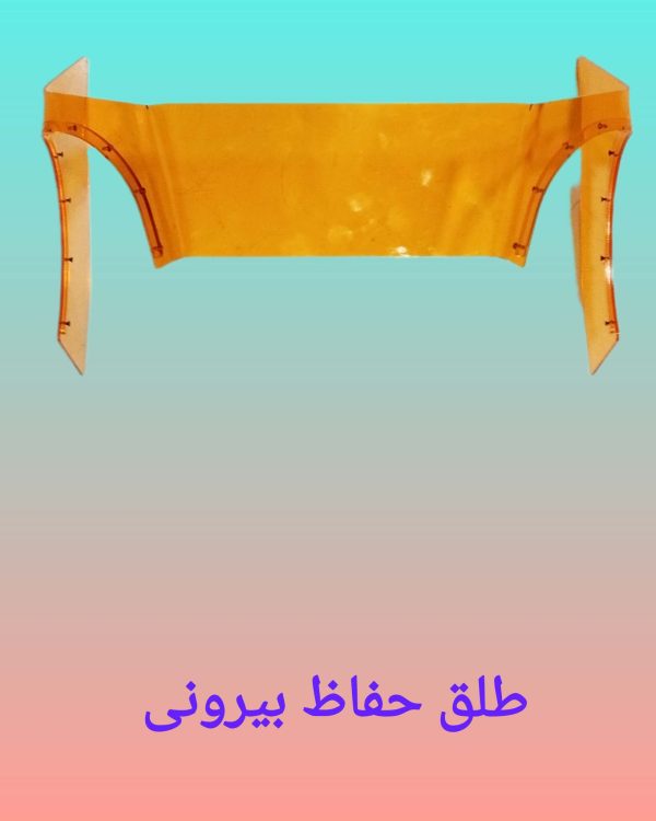 1000258029